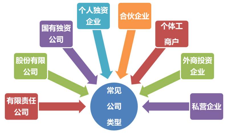 常见的公司类型