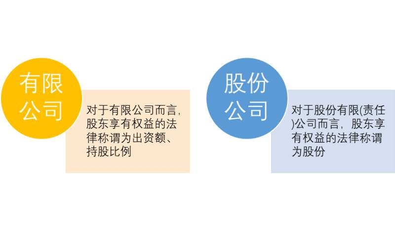 资本表现的区别 (1).png